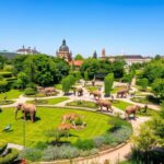 Miejski Ogród Zoologiczny w Łodzi – Świat Zwierząt w Centrum Miasta