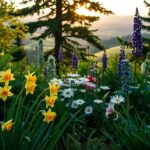 rośliny na literę D