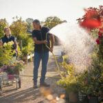 Jaki sprzęt do pielęgnacji ogrodu sprawdzi się jesienią?