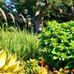 rośliny na literę S