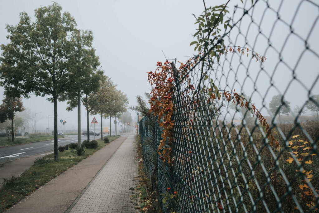 Jesienne wiatry a stabilność ogrodzenia – na co zwrócić uwagę?